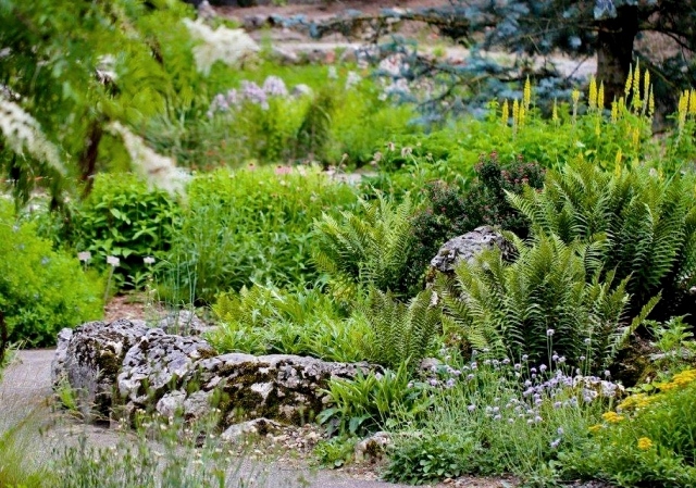 Le jardin
