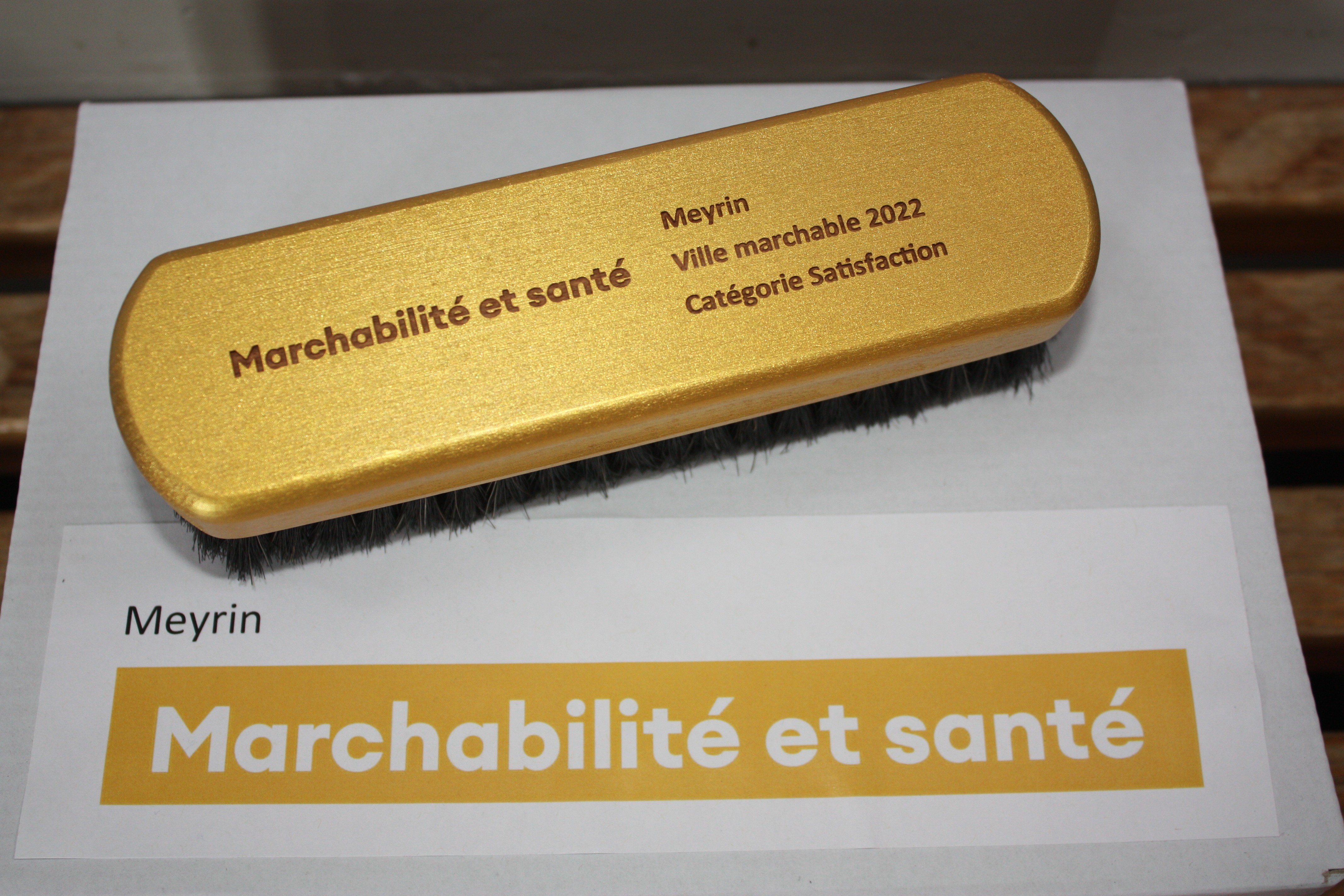 Brosse dorée