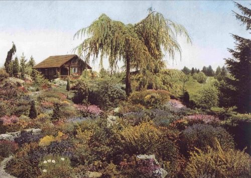 jardin