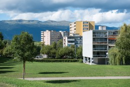 Rues piétones