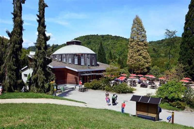 Arboretum