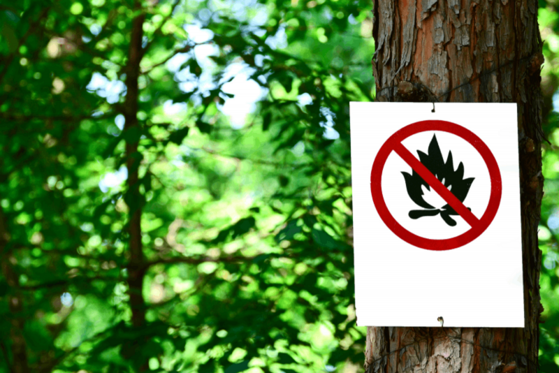 interdiction de feu de foret