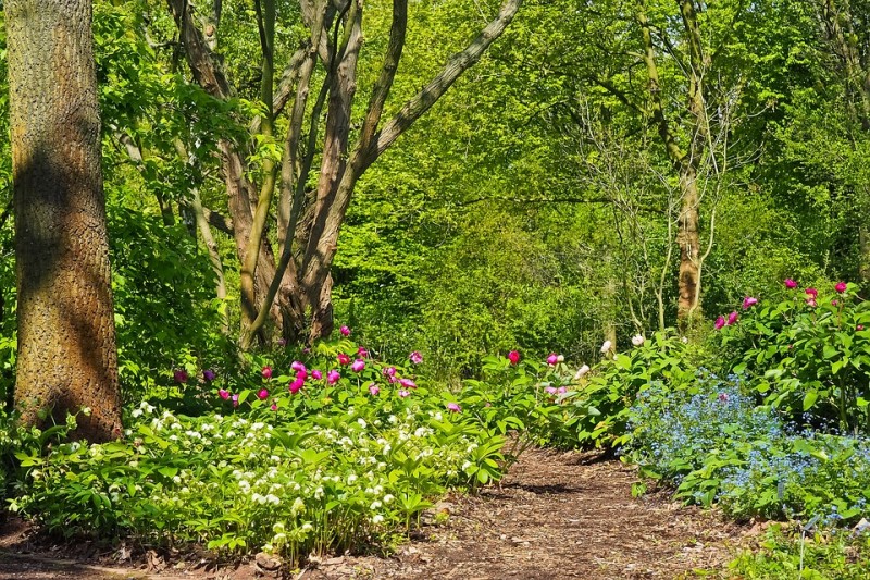 COMPLET ! Conférence jardin alternatif - forêt comestible