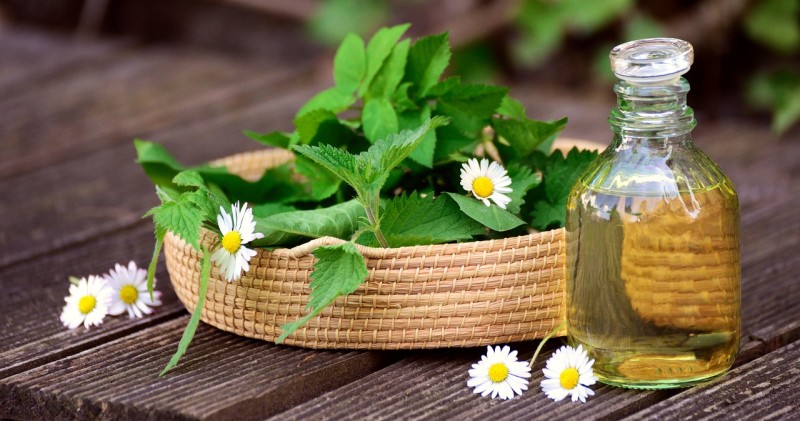 herbes médicinales